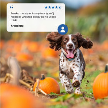 FARMINA N&D DOG LAMB&PUMPKIN&BLUEBERRY ADULT 285g FARMINA N&D DOG LAMB&PUMPKIN&BLUEBERRY ADULT 285g
