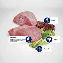 FARMINA ND Quinoa Weight Management LambBroccoli - sausas kačių ėdalas - 5 kg FARMINA ND Quinoa Weight Management LambBroccoli - sausas kačių ėdalas - 5 kg