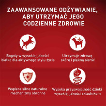 PURINA One Mini / Small Active Rich in chicken with rice - dry dog food - 800g PURINA One Mini / Small Active Rich in chicken with rice - dry dog food - 800g