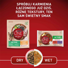 PURINA One Mini / Small Active sausas šunų ėdalas, gausus vištienos ir ryžių, 800 g PURINA One Mini / Small Active sausas šunų ėdalas, gausus vištienos ir ryžių, 800 g
