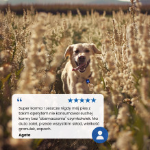 Farmina augintinių ėdalas ND Ancestral Grain Canin suaugusiam šuniui, 15 kg, vištiena Farmina augintinių ėdalas ND Ancestral Grain Canin suaugusiam šuniui, 15 kg, vištiena