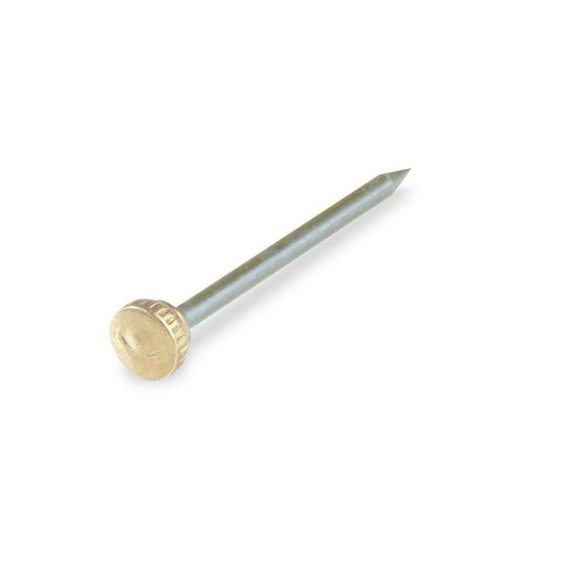 Statybinės vinys, 1.2 x 22 mm, 25 vnt.