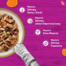 WHISKAS Tasty Mix Chef's Selection in Sauce - wet cat food - 40x85g