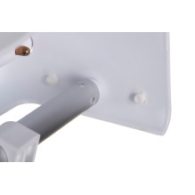 Toilet seat riser with...