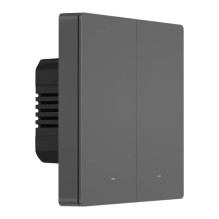 Išmanusis scenos sieninis jungiklis WiFi Sonoff M5 2C (2 kanalų)