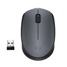 MOUSE USB OPTICAL WRL M170...