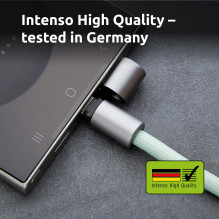 CABLE USB-C TO USB-C 1.65M / LANYARD GREEN 7991007 INTENSO