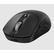 HP 700 Rechargeable Wireless Mouse