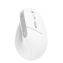 Trust Bayo II - Ergonomic Wireless Mouse (white)