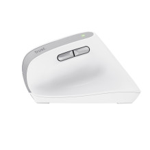 Trust Bayo II - Ergonomic Wireless Mouse (white)