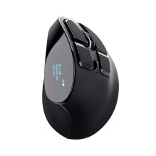 PELĖ USB OPTICAL ERGONOMIC / VOXX 23731 TRUST