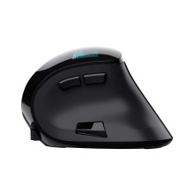 PELĖ USB OPTICAL ERGONOMIC / VOXX 23731 TRUST
