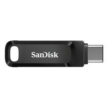 ATMINTIES DISKŲ BLYSTĖ USB-C 256 GB / SDDDC3-256G-G46 SANDIS DISKAS