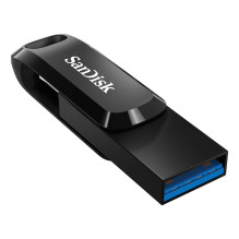 ATMINTIES DISKŲ BLYSTĖ USB-C 256 GB / SDDDC3-256G-G46 SANDIS DISKAS