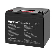 LifePO4 12V 100Ah...