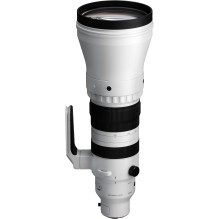 Sigma 300-600mm F4 DG DN OS, Sports, Sony E