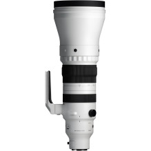 Sigma 300-600mm F4 DG DN OS, Sports, Sony E