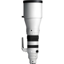 Sigma 300-600mm F4 DG DN OS, Sports, Sony E