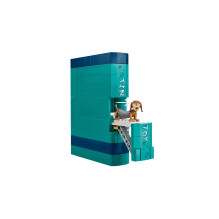 LEGO DISNEY 43301 Žaislų istorija: Šunų knygų atramos