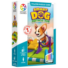 Table game Smart Games...