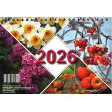 Medsraigčiai lauko darbams C4 RUSPERT 4.5x70 200vnt