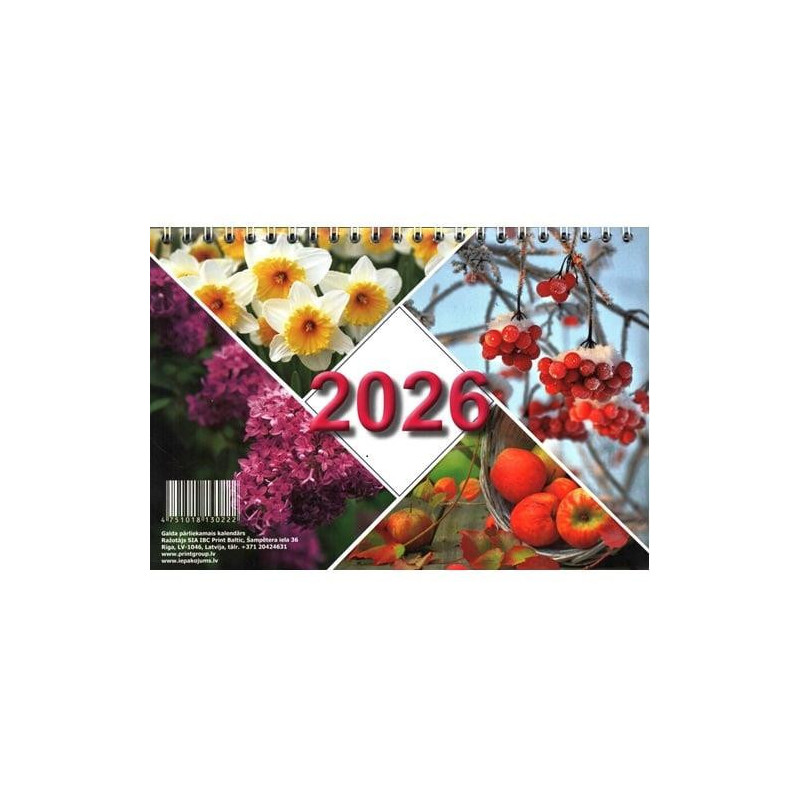 Medsraigčiai lauko darbams C4 RUSPERT 4.5x70 200vnt