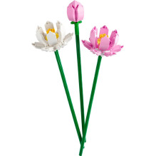 Constructor LEGO® Lotus Flowers 40647
