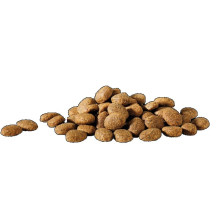 VERSELE-LAGA Happy Life Essential sausas šunų ėdalas 20 kg VERSELE-LAGA Happy Life Essential sausas šunų ėdalas 20 kg