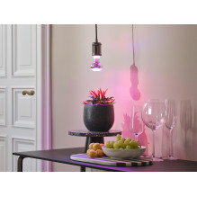 Lemp LED augalams 1300K E27 7.5W 140lm Lemp LED augalams 1300K E27 7.5W 140lm