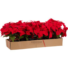 Artificial flower, poinsettia, 30 cm Artificial flower, poinsettia, 30 cm