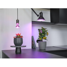 Lemputė LED Osram E27 20W 650lm Lemputė LED Osram E27 20W 650lm