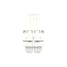 Termostatinė galva 015G3690, REGUS RA