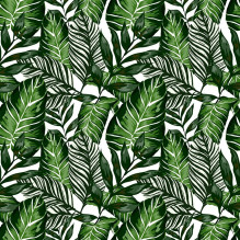 Adhesive firm house plants...