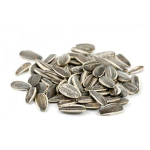 Sunflower seeds, universal food, 1 kg