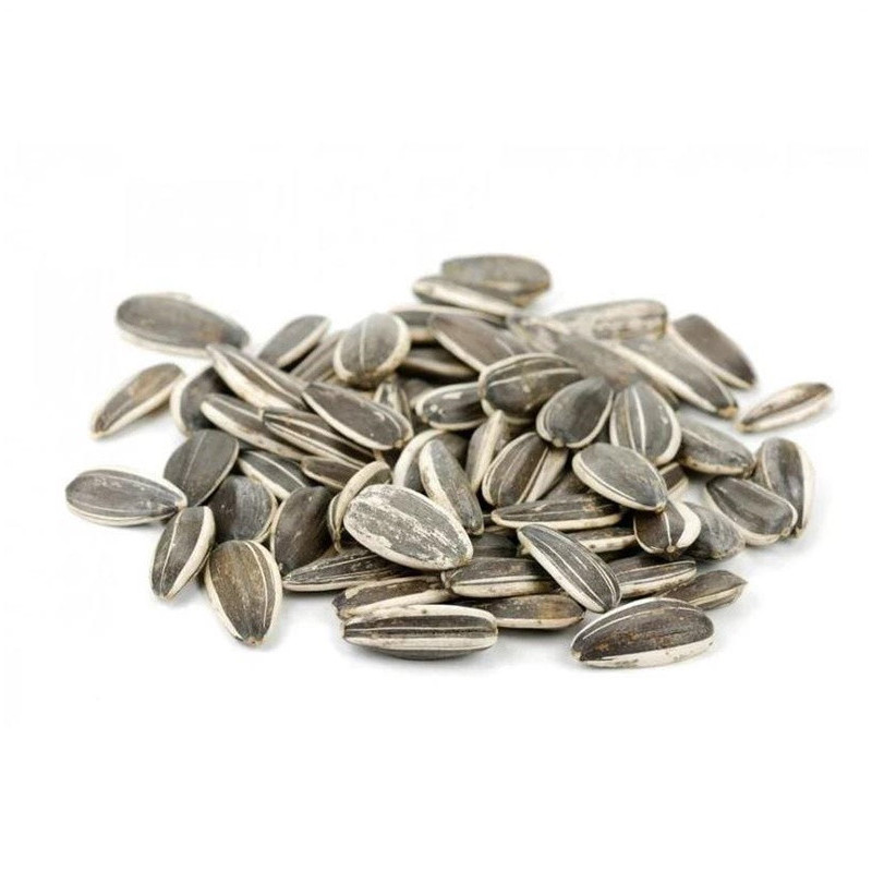 Sunflower seeds, universal food, 1 kg