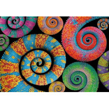 Dėlionė Clementoni Compact Curly Tails 35529, 36x49, 500 d Dėlionė Clementoni Compact Curly Tails 35529, 36x49, 500 d