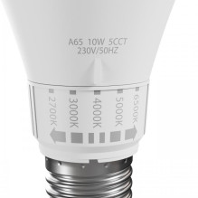 Spectrum LED Bulb, A65, E27, 10W, 1100LM, 2700-6500K, 5CCT Spectrum LED Bulb, A65, E27, 10W, 1100LM, 2700-6500K, 5CCT