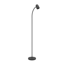 Floor lamp Eglo Carlo...