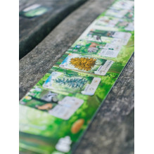 Table game Brain Games Forest Shuffle, LT