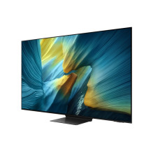 TELEVIZORIUS QE55S95FATXXH SAMSUNG
