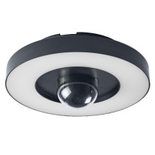 LED outdoor light with WiFi...