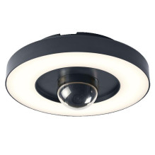 LED outdoor light with WiFi and camera 22W IP44