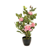 Dirbtinis augalas vazone, įvairių spalvų, 50 cm Dirbtinis augalas vazone, įvairių spalvų, 50 cm