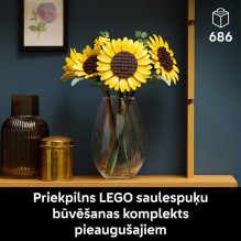 Konstruktorius LEGO® Botanical Collection 11502, 686 vnt. Konstruktorius LEGO® Botanical Collection 11502, 686 vnt.
