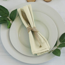Cloth napkin champagne...