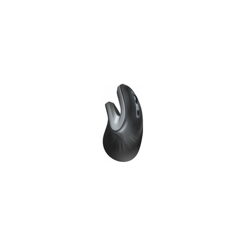 Computer mouse Trust Verro Ergonomic Black