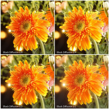 Photography Filter - KF Concept Black Mist 1 / 1 49mm Nano-X Black