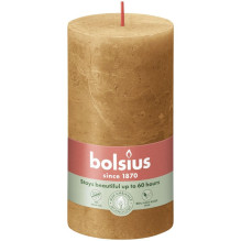 Candle, cylindrical Bolsius...