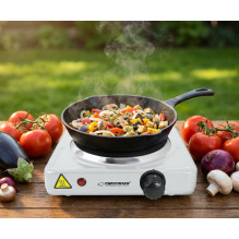 Esperanza EKH013W White Electric stove