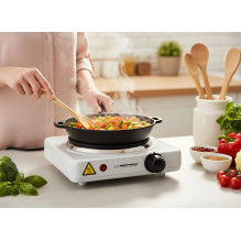 Esperanza EKH013W White Electric stove